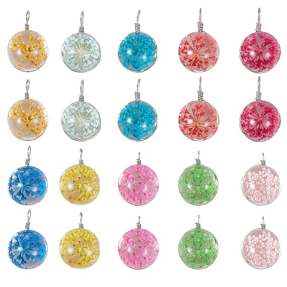 20Pcs 10 Colors Transparent Glass Pendants, with Dried Flower Inside and Stainless Steel Finding, Flat Round