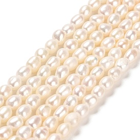 Natural Cultured Freshwater Pearl Beads Strands, Two Sides Polished, Grade 7A