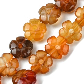 Natural Red Agate Beads Strands, Flower