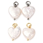 Натуральные кеши жемчужные подвески, сердце прелести, с открытыми пружинными кольцами из нержавеющей стали 304, кремово-белые