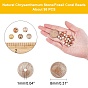 ARRICRAFT Natural Fossil Coral Beads Strands, Round