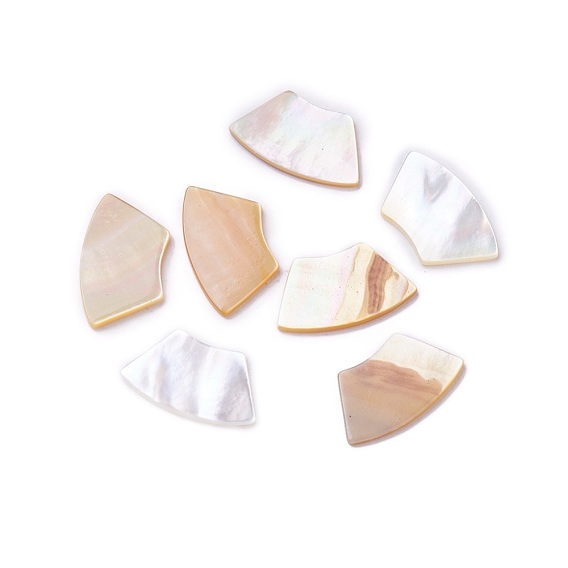 Cabochons coquille, fan