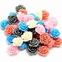 Resin Cabochons, Rose Flower, with Storage Container/Box