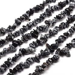 Schneeflocken-Obsidian-Chip Bead Stränge, 5~8x5~8 mm, Bohrung: 1 mm, ungefähr 31.5 Zoll