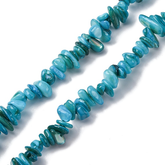 Естественных пресноводных оболочки бисер нитей, чип, окрашенные