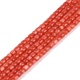 Natural Freshwater Shell Beads Strands, Dyed, Column