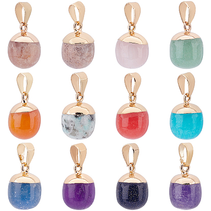 12Pcs 12 Style Top Golden Plated Mixed Gemstone Pendants, with Iron Findings, Barrel