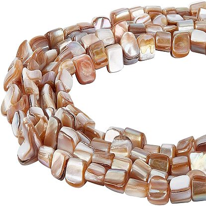 5 Strands Natural Freshwater Shell Beads Strands, Nuggets