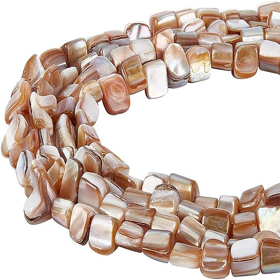 5 Strands Natural Freshwater Shell Beads Strands, Nuggets