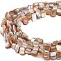 5 Strands Natural Freshwater Shell Beads Strands, Nuggets