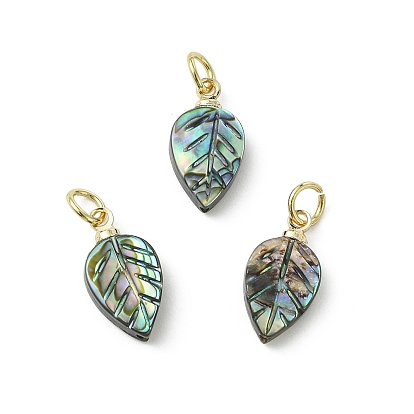 Подвески из натуральной раковины морского ушка/морского ушка, лист прелести, с 304 результатами из нержавеющей стали и латуни