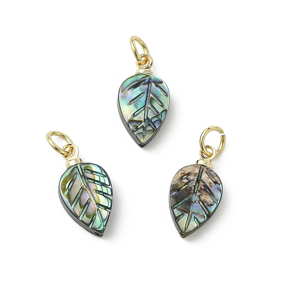 Подвески из натуральной раковины морского ушка/морского ушка, лист прелести, с 304 результатами из нержавеющей стали и латуни