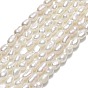 Natural Cultured Freshwater Pearl Beads Strands, Rice