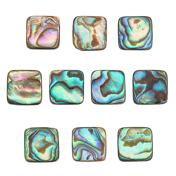 10 cabochons en coquillage d'ormeau naturel/coquillage paua, Avec coquille d'eau douce, carrée
