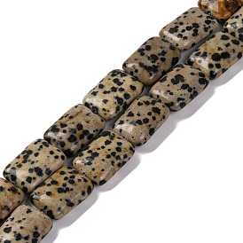 Natural Dalmatian Jasper Beads Strands, Rectangle