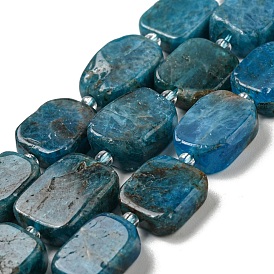 Natural Apatite Beads Strands, with Seed Beads, Rectangle