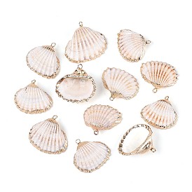Подвески из натуральных морских ракушек, покрытые гальваническим способом, подвески в форме ракушек, с медными петлями, золотые