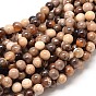 Natural America Fossil Stone Round Bead Strands