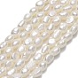 Natural Cultured Freshwater Pearl Beads Strands, Two Sides Polished
