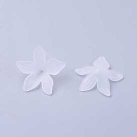 Transparent Acrylic Beads, Frosted, Clear, Flower