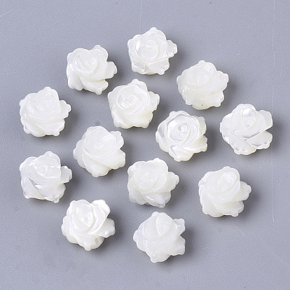 Natural Trochid Shell/Trochus Shell Beads, Double-Sided, Flower