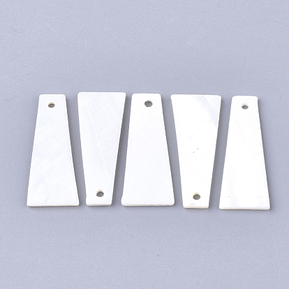 Pendientes de concha de agua dulce, trapezoide