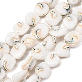 Natural Seashell Shell Beads Strands, Nuggets