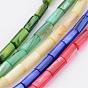 Natural Shell Bead Strands, Dyed, Column