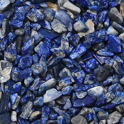 Природных лазурит чип бисер, нет отверстий / незавершенного, 3~9x1~4 мм