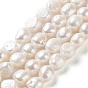 Natural Cultured Freshwater Pearl Beads Strands, Two Side Polished, Grade 4A