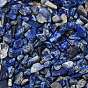 Природных лазурит чип бисер, нет отверстий / незавершенного, 3~9x1~4 мм