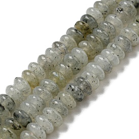 Brins de perles de larvikite naturelles, rondelle