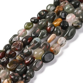 Natural Africa Bloodstone Beads Strands, Nuggets, Tumbled Stone