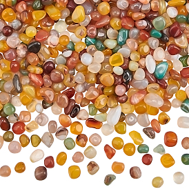 Agate naturelle olycraft, perles non percées / sans trou, teint, pierre tombée, gemmes de remplissage de vase, nuggets