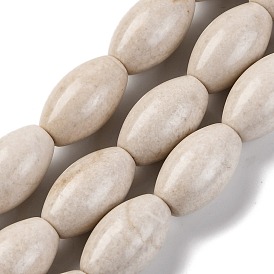 Natural Fossil Beads Strands, Oval