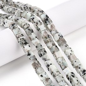 Натуральный кунжут яшма / киви нитки бусины яшмы, кубические