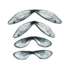 3 шт. прозрачных кабошонов из эпоксидной смолы в виде крыльев бабочки, с блеском порошок