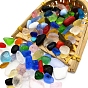 Ocean Series Glass Display Decoration, Nuggest