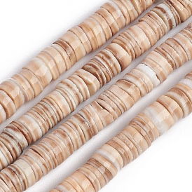Shell Beads Strands, for Jewelry Making, DIY Crafts, Disc