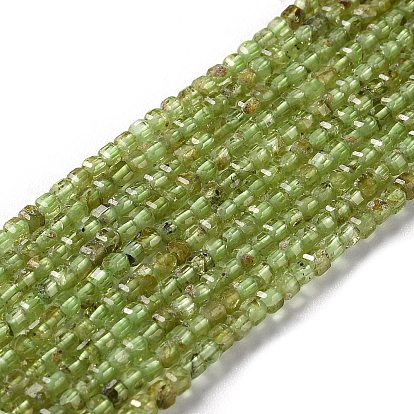 Natural Peridot Beads Strands, Grade AB, Faceted, Square