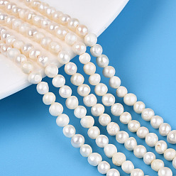 Natural Cultured Freshwater Pearl Beads Strands, Potato