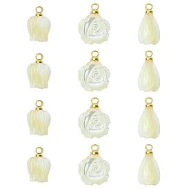 12 шт. 3 стили подвески-цветы из натуральных ракушек, с латунной поручительств, цветочный белый