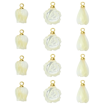 12 шт. 3 стили подвески-цветы из натуральных ракушек, с латунной поручительств, цветочный белый