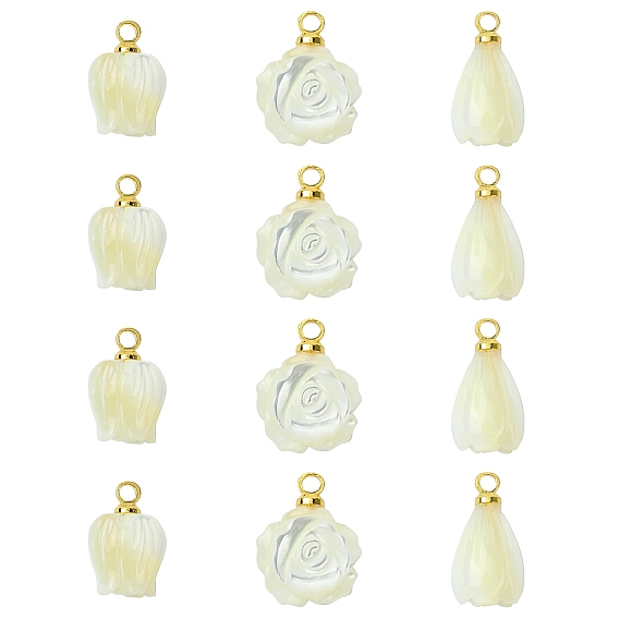 12 шт. 3 стили подвески-цветы из натуральных ракушек, с латунной поручительств, цветочный белый