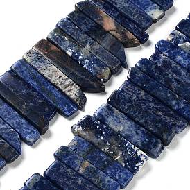 Natural Sodalite Beads Strands, Top Drilled Beads, Rectangle