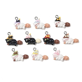 Непрозрачные подвески смолы, амулет ведьминского кота, с петлей из нержавеющей стали, цвет нержавеющей стали