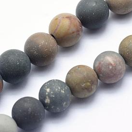 Natural Ocean Agate/Ocean Jasper Beads Strands, Frosted, Round