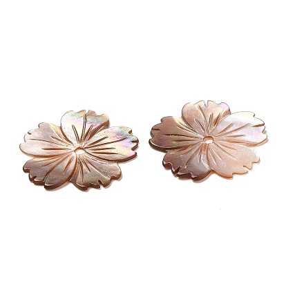 Natural Sea Shell Beads, Sakura Flower