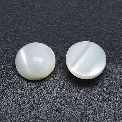 Shell Cabochons, Flat Round