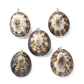 Natural Sea Shell Big Pendants, Oval Charms, with Platinum Tone Brass and Alloy Findings